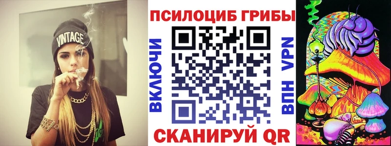 Псилоцибиновые грибы мухоморы  Купить закладки  Буй 